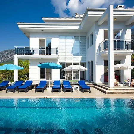 Fethangel Villa Cedit